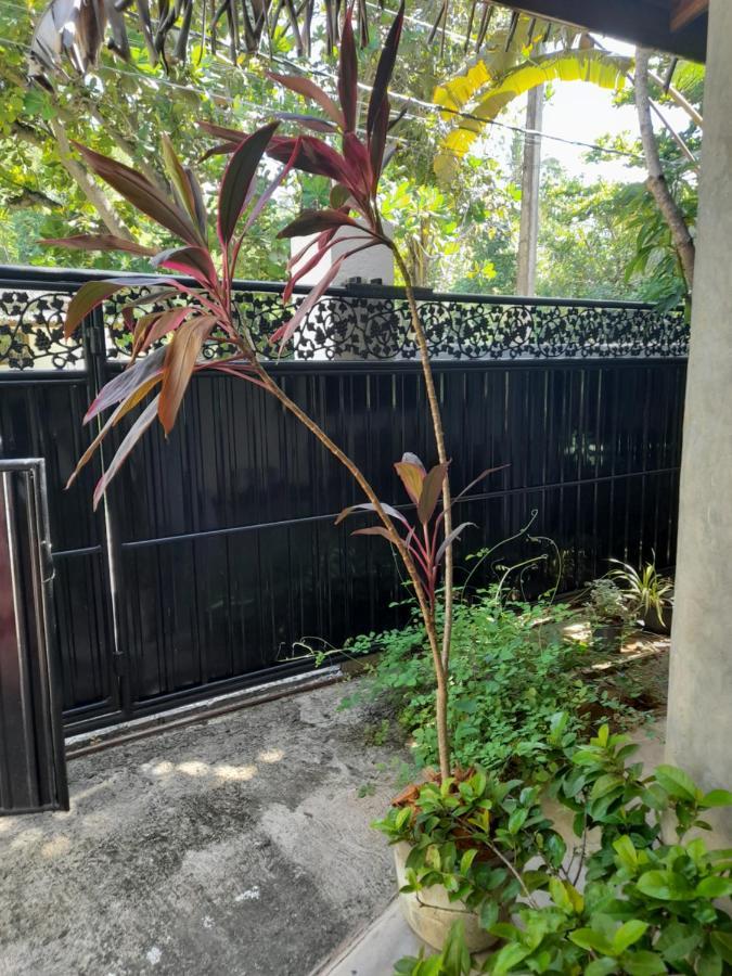 ホテル Mealanie'S House ウナワトゥナ エクステリア 写真